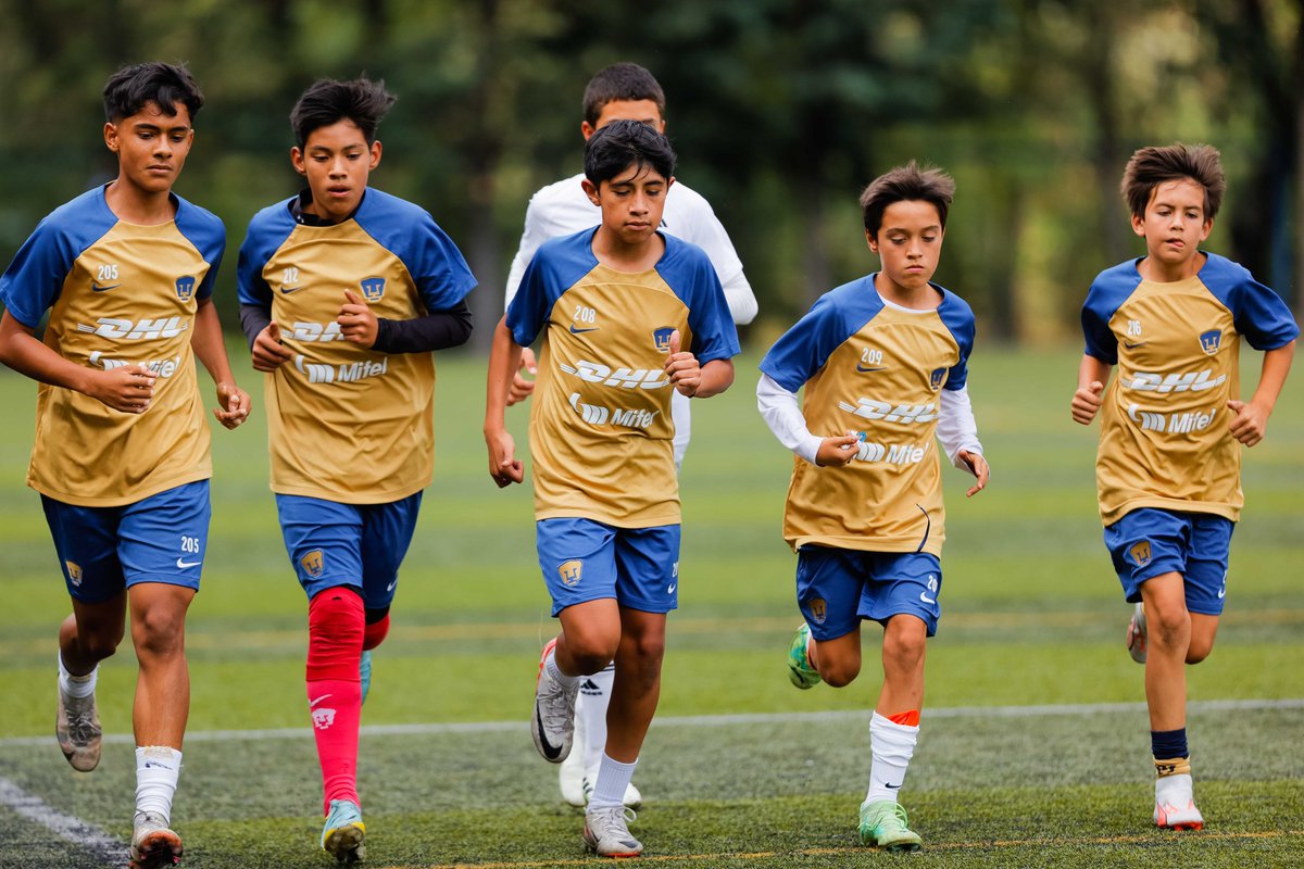 PumasMXCantera's tweet image. #SUB13 
Trabajo y esfuerzo 🐾

#DePumasSoy #DeCanteraSomos