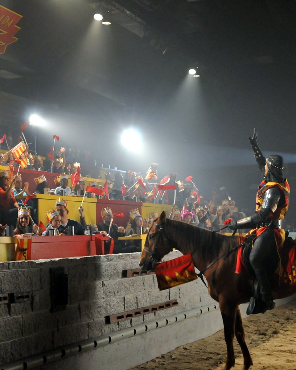 That moment when your knight rides towards you 🤩 What's your favorite part of the show? #Knights #MedievalTimes #EpicKnightOut #MTFan