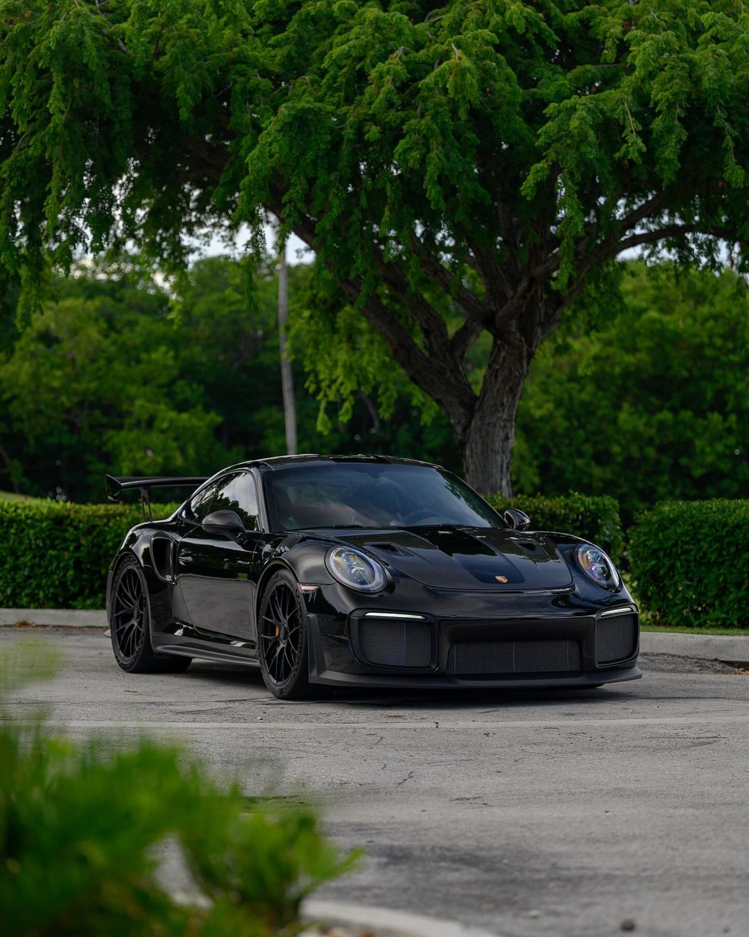 Gt2 negro hotsell