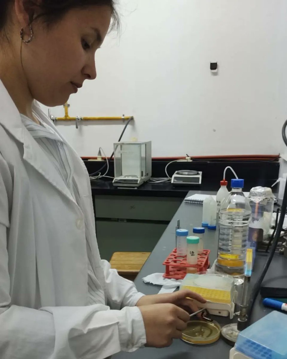 iab_agrobio's tweet photo. Los estudiantes de segundo año lo hicieron de nuevo, esta vez en la asignatura Ingeniería Genética. En su último trabajo práctico, llevaron a cabo la Mutagénesis dirigida en bacterias.
El proceso fue un éxito total y el aprendizaje inmenso. 🧬🦠 https://t.co/UIgDFUh2Zd