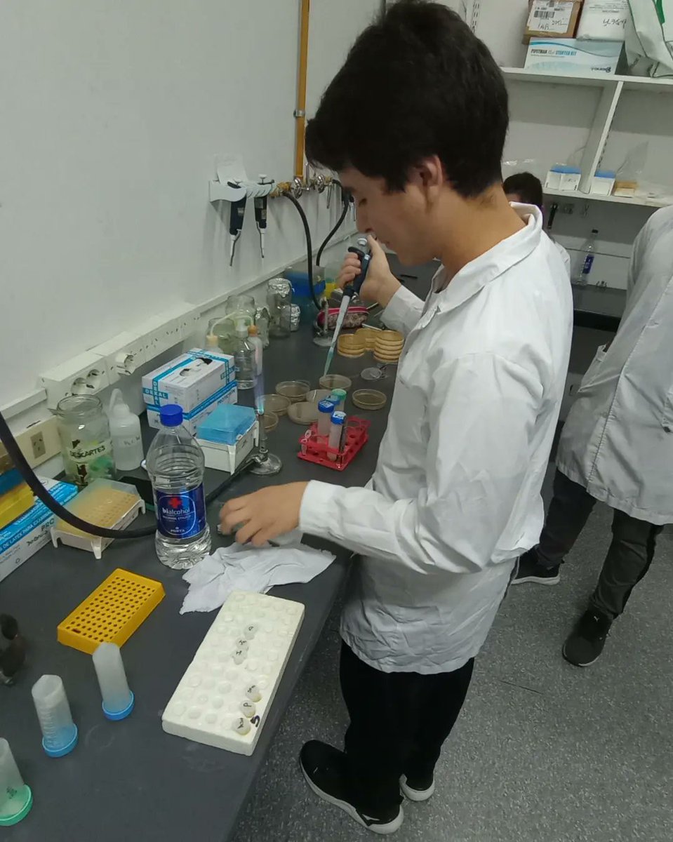 Los estudiantes de segundo año lo hicieron de nuevo, esta vez en la asignatura Ingeniería Genética. En su último trabajo práctico, llevaron a cabo la Mutagénesis dirigida en bacterias.
El proceso fue un éxito total y el aprendizaje inmenso. 🧬🦠