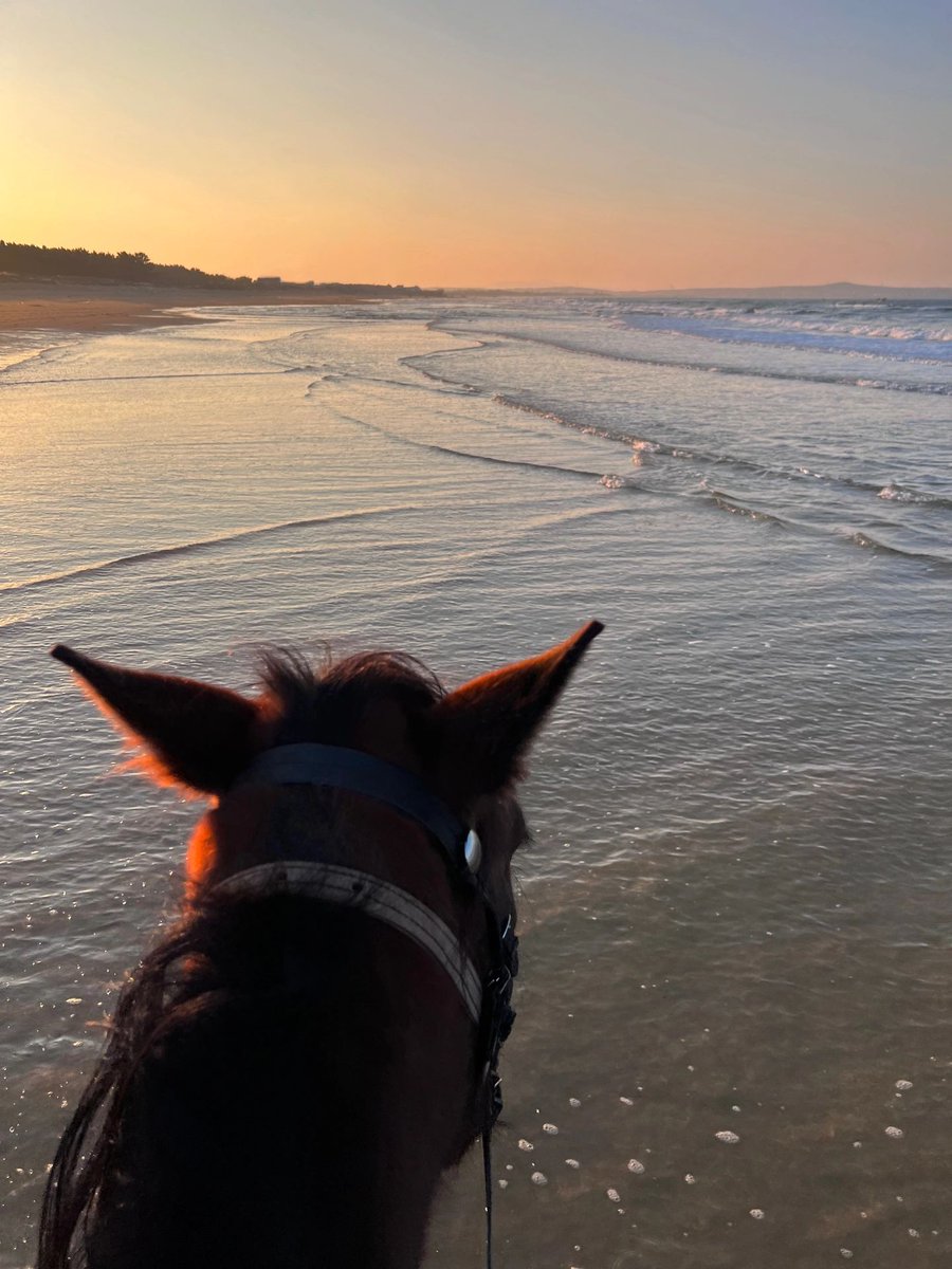 Amy's first time riding a horse, and she wasn't afraid at all.🤣🤣🤣#instahorses #paard #equestrianism #equestrianlife #equestrianblog #equestrianphotography #horseaddict #horselove #horseylove #horsesofinstagram #equestriansofinstagram #horsey #equestriansport