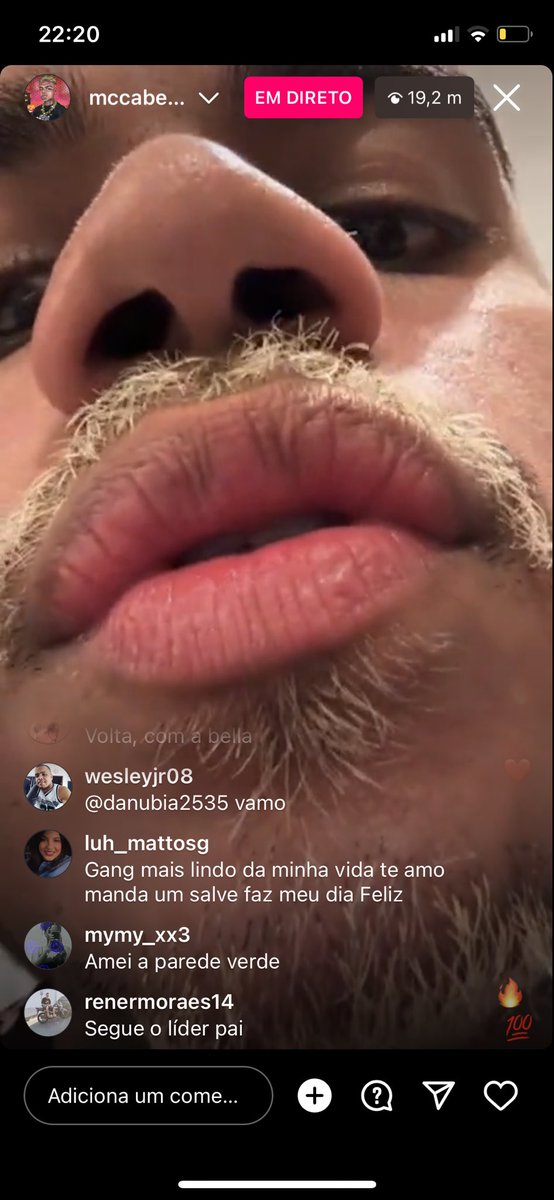 a foto já diz por si né litter hair