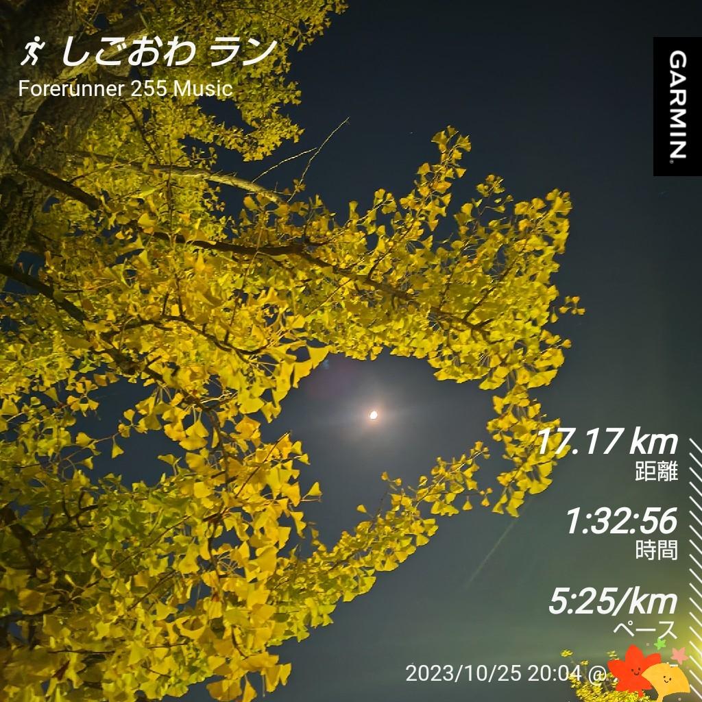 haru_jiiji's tweet photo. 10/24,25 しごおわラン
距離報告はあらためて
一年で1番目走りやすい季節
#OctoberRun
ついつい時間忘れて、
距離走ってしまうわ😆
ランコースのお家、
テーマパークもビックリの
ハロウィン装飾🎃👻👿💀
pic載せたいけどなぁ😅
#SIP765
#ランニング #running #garmin https://t.co/Bl8VUX5ZRC