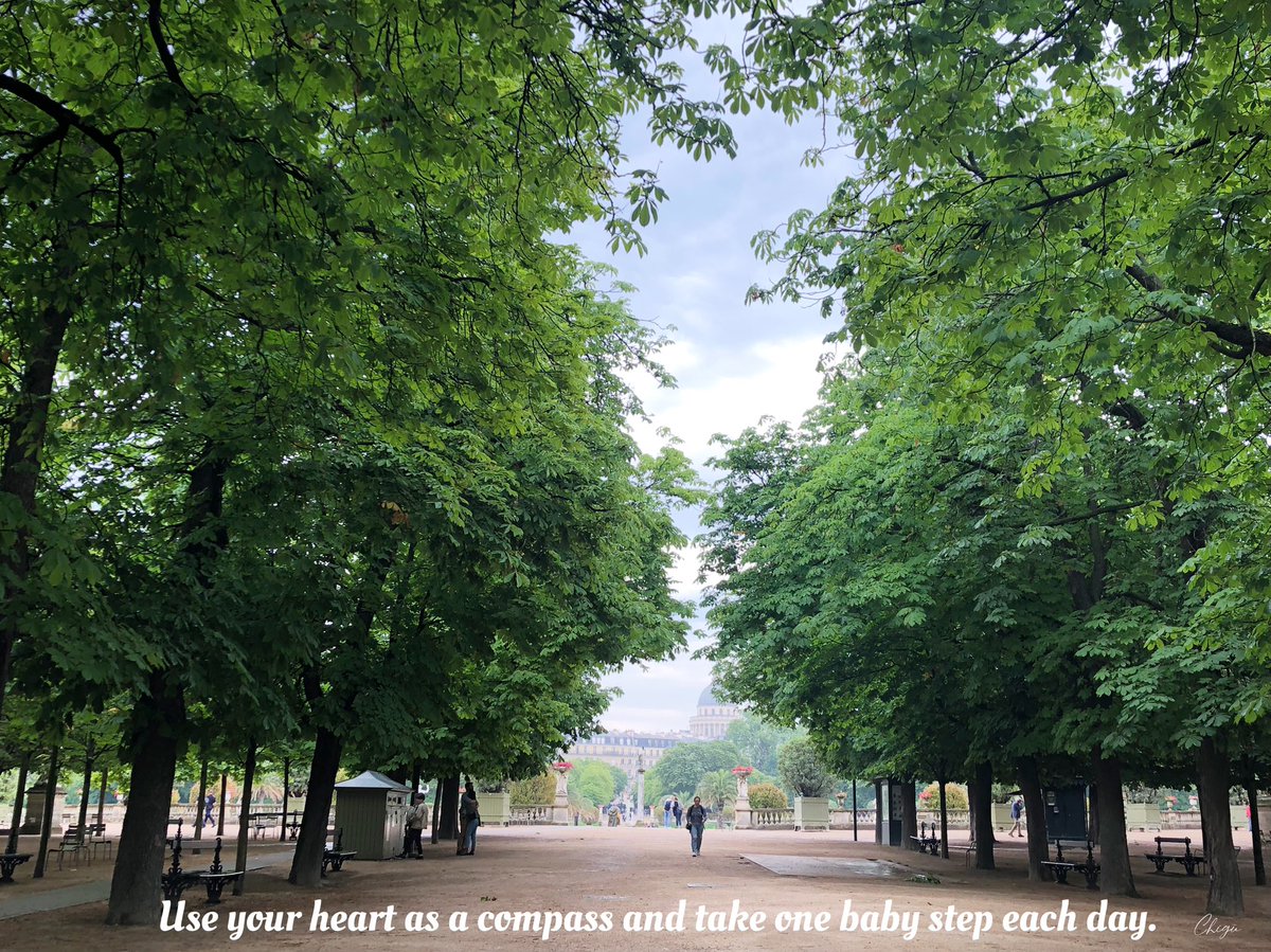 cocobonheurcoco's tweet photo. Use your heart as a compass and
take one baby step each day.

こころの
コンパスで

きょうも
一歩ずつ。

#パリ #フランス #paris #france #jardindeluxembourg #リュクサンブール公園 #心のコンパス #一歩ずつ #babystep #compass #dreamscometrue #goodluck https://t.co/FKk6UroPnK