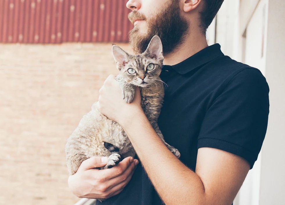 blashdril's tweet photo. people holding their cats https://t.co/uh70lsNmZS