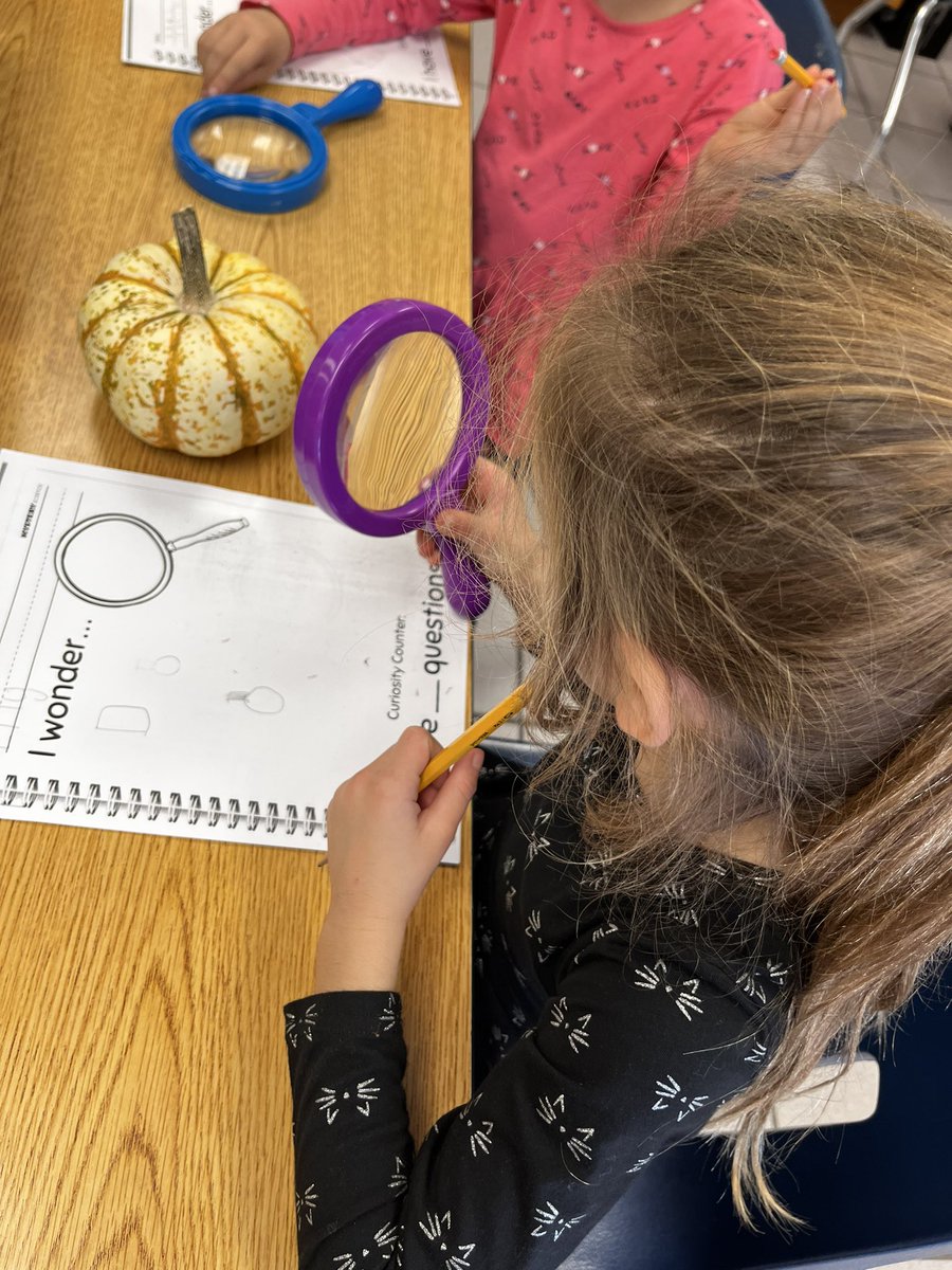lesliewildman1's tweet image. #sessharks K students think like scientists and explore fall with handheld magnifying glasses! @StrawbridgeES @VBGifted #wondermore #somanyquestions