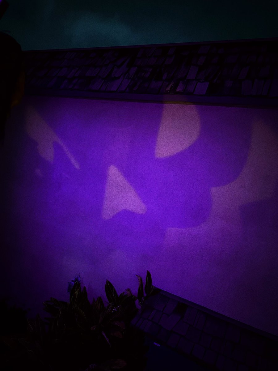Night time views as Halloween approaches 🎃