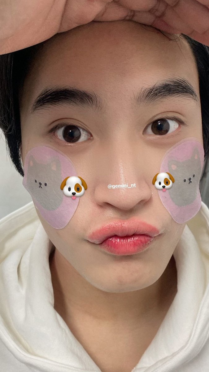 เจมิ˚ ༘♡ ⋆ (🐟) tweet media