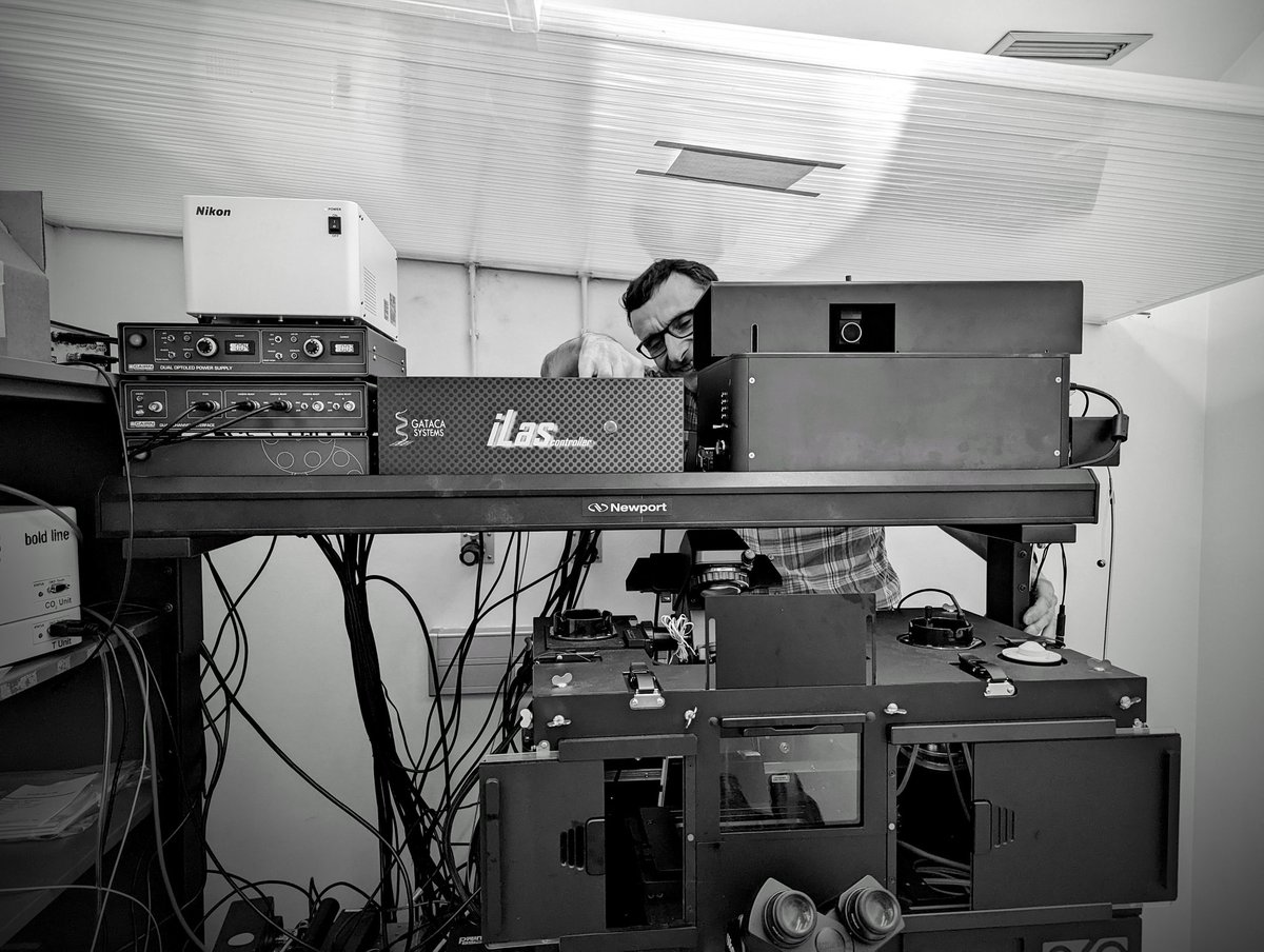 Jezpersonal's tweet photo. In a darkened room with a bunch of lasers and cameras attempting to image and damage microtubules in as many ways as possible...
@CRGenomica
@Cairn_Research @gatacasystems https://t.co/u1cyucp1s6