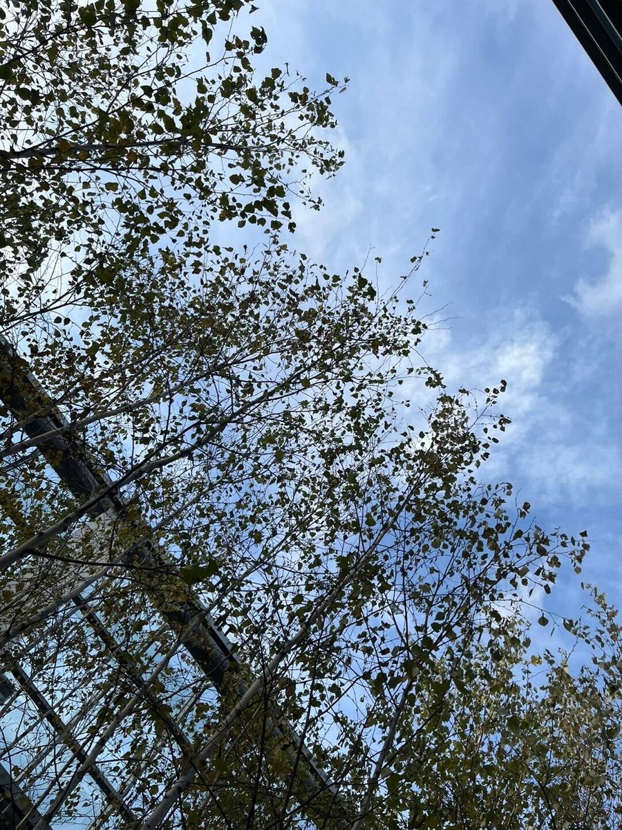 24kumi_trainee's tweet photo. こんにちは！最近、空を撮ることにハマってるHAKUです。雲が多かったり、雲が少ない空を見ていると、少し不思議な感じになります。
みなさんは、空の写真を撮ったり、ゆっくり眺めたりしますか？？

#24組 #24kumi https://t.co/ZYR4fKp9iH