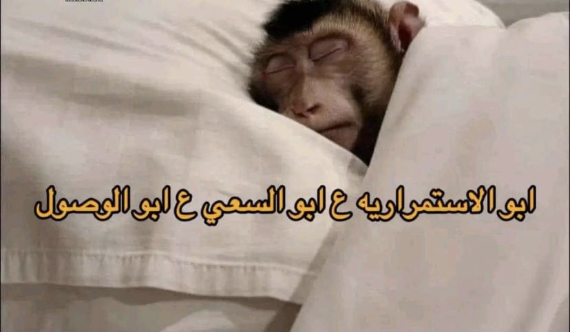 ‏أي حاجة | كود نايس ون AH88 (@toonzatt) on Twitter photo 