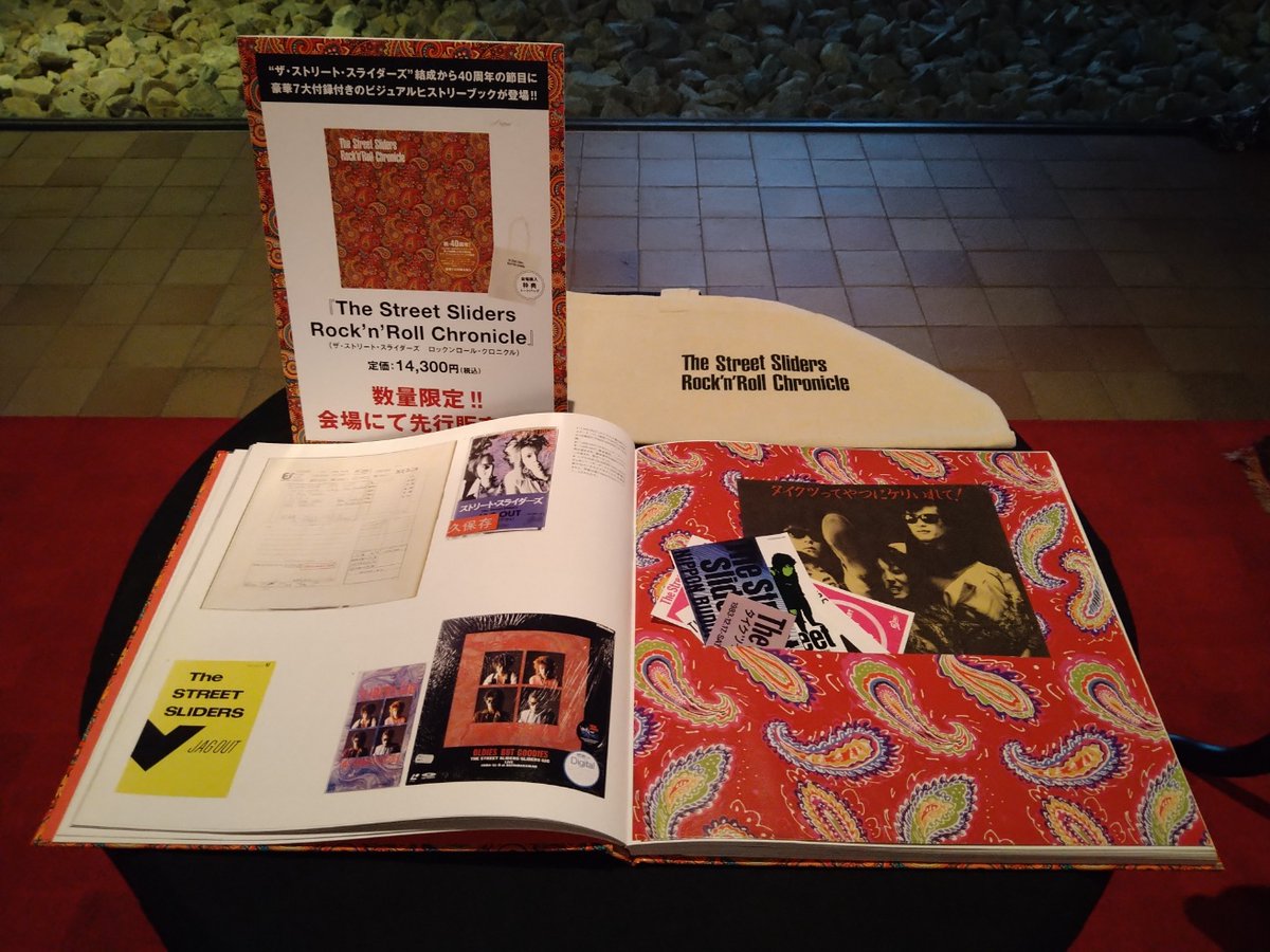 ストリートスライダーズ Rock'n' Roll Chronicle The Street Sliders