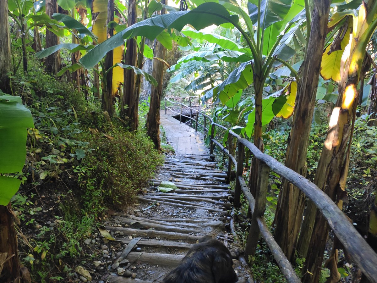 AlexandrElichev tweet media