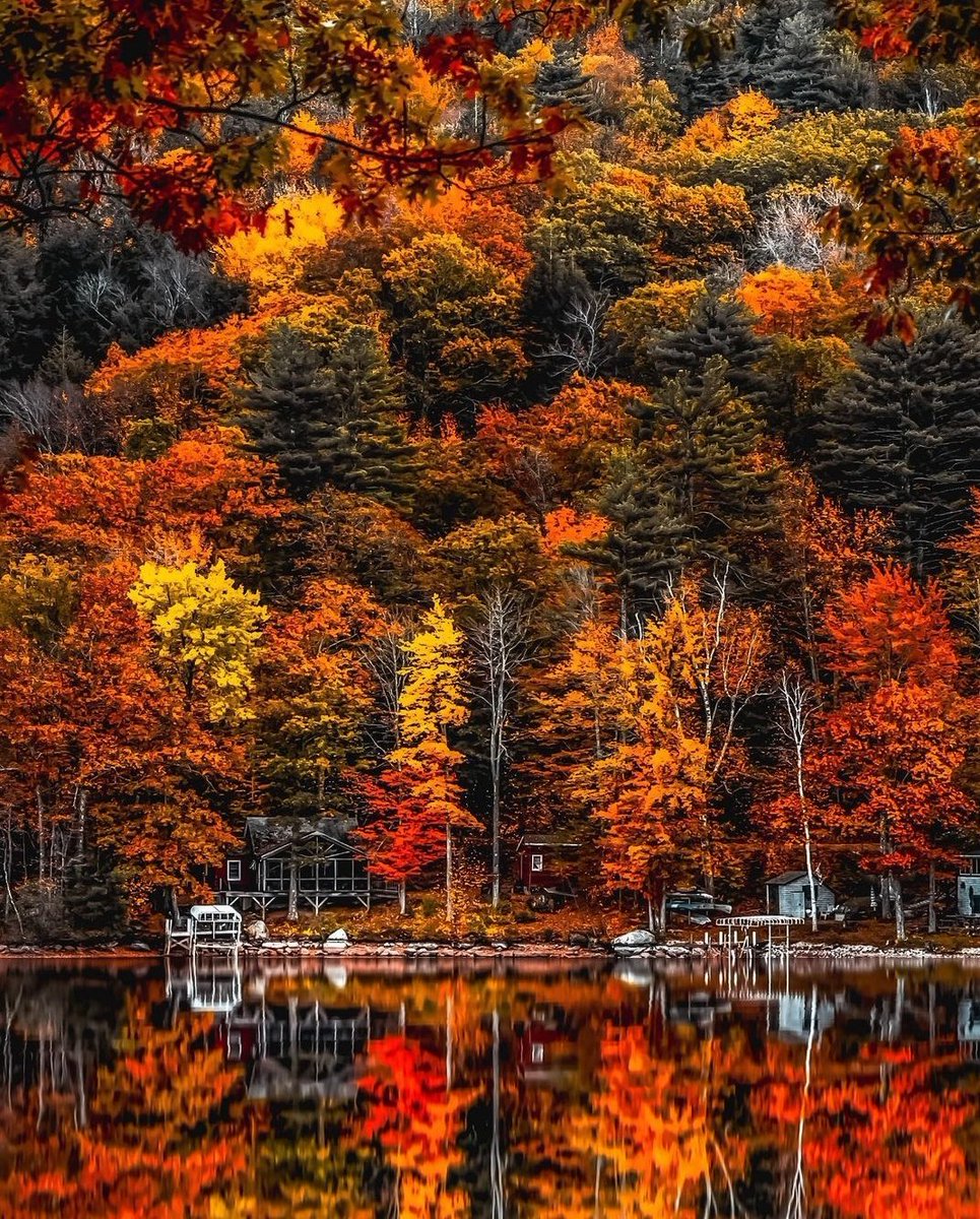 New Hampshire ❤️
#BeautyPlus #beauty #Autumn #AutumnVibes #autumnfall #AutumnPhotography #view #scenery #nature #NaturePhotograhpy #NatureBeauty #naturelover #photooftheday #photography #photographylovers #PhotographyIsArt #photographychallenge #traveltheworld #Trending #explore