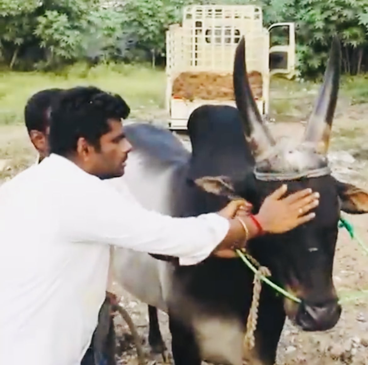 ShylajaShetty's tweet photo. Pic of Thursday. #Annamalai #TN_Politics #Tamilnadu https://t.co/g4RI8ClHbQ