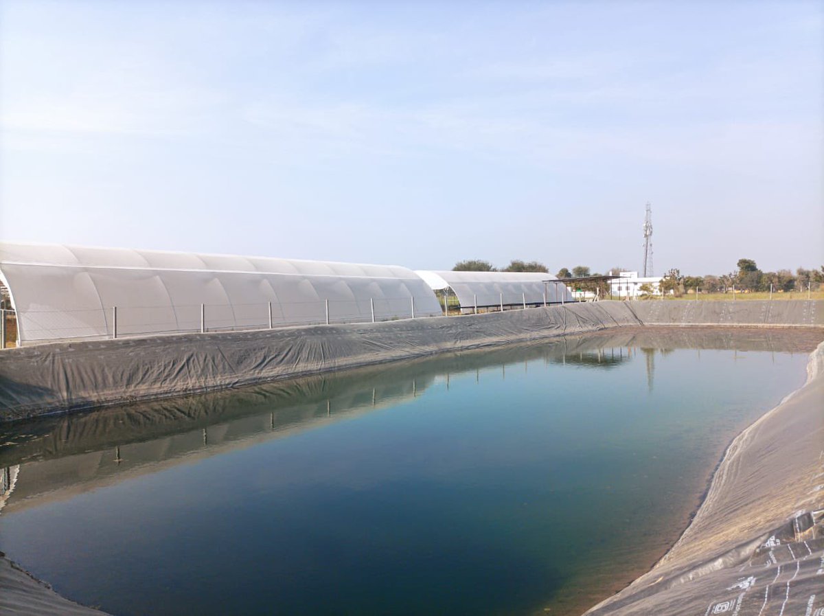 anandc's tweet photo. The theme of 2023 in 🇮🇳 and elsewhere is resilience. Inspired to see the @eeki_foods team learn from their most trying moment (first floods in 20 yrs) &amp; build a many 100k gallon rain water harvesting system that both helps alleviate this + gives back  to the water table! https://t.co/ECk3CNSAQl