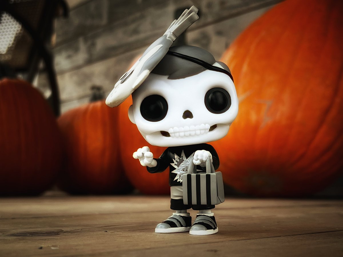 Absolutely love the Freddy Bones from NYCC and the Heavy Metal boxes. The mask on his head is an excellent touch!

#FreddyFunko #FreddyBones #Funko #OriginalFunko