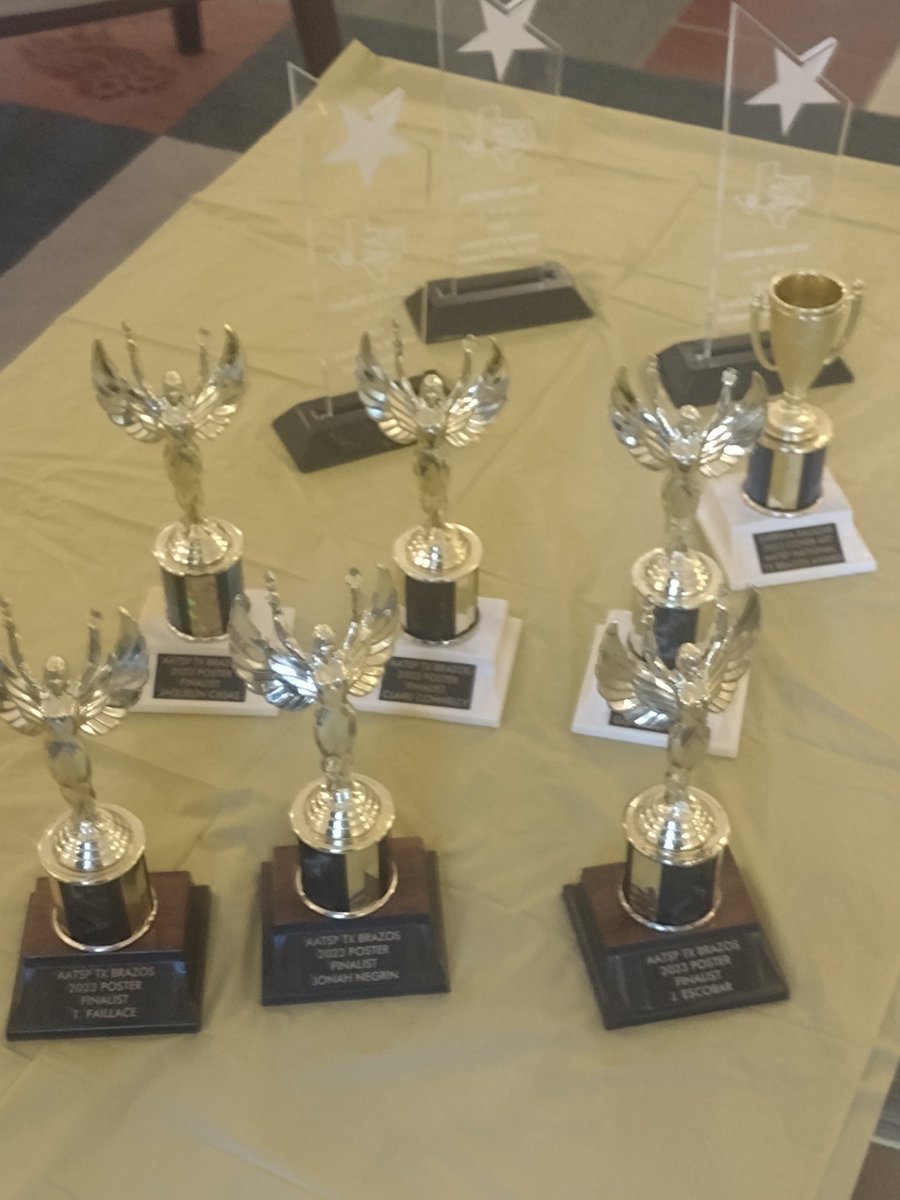 Congratulations to Sra. Rodriguez and students who received awards from AATSP.  Two students participated in an ART/Poster Competition and got 1st and 2nd place place. 🏅 🥇 
#BeTheStorm