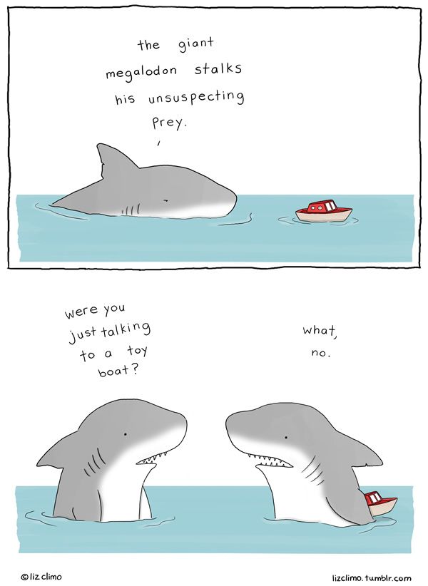 SharkydoPJs's tweet photo. #shark #funny #WednesdayMotivation https://t.co/znsUq4zCoB