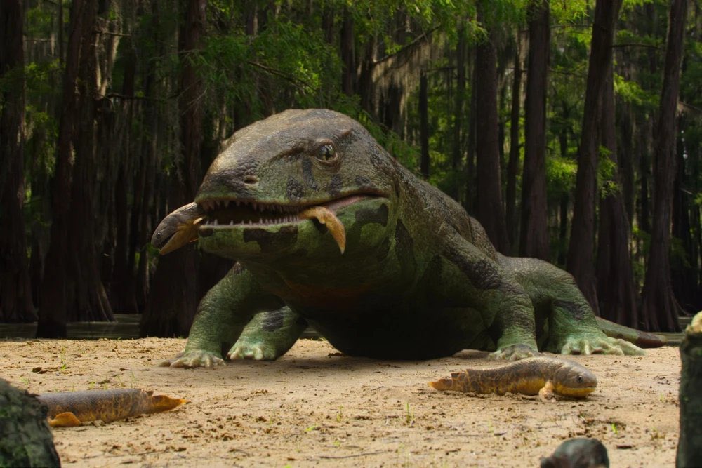 Taylor McCoy 🦖 tweet media