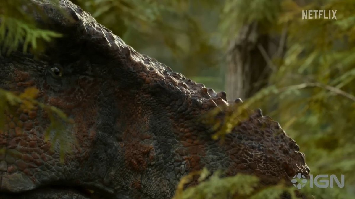 Taylor McCoy 🦖 tweet media