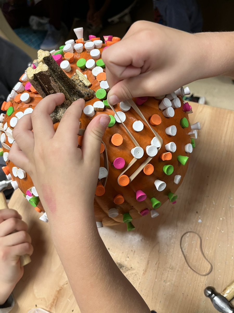 Sara Consdorf tweet media