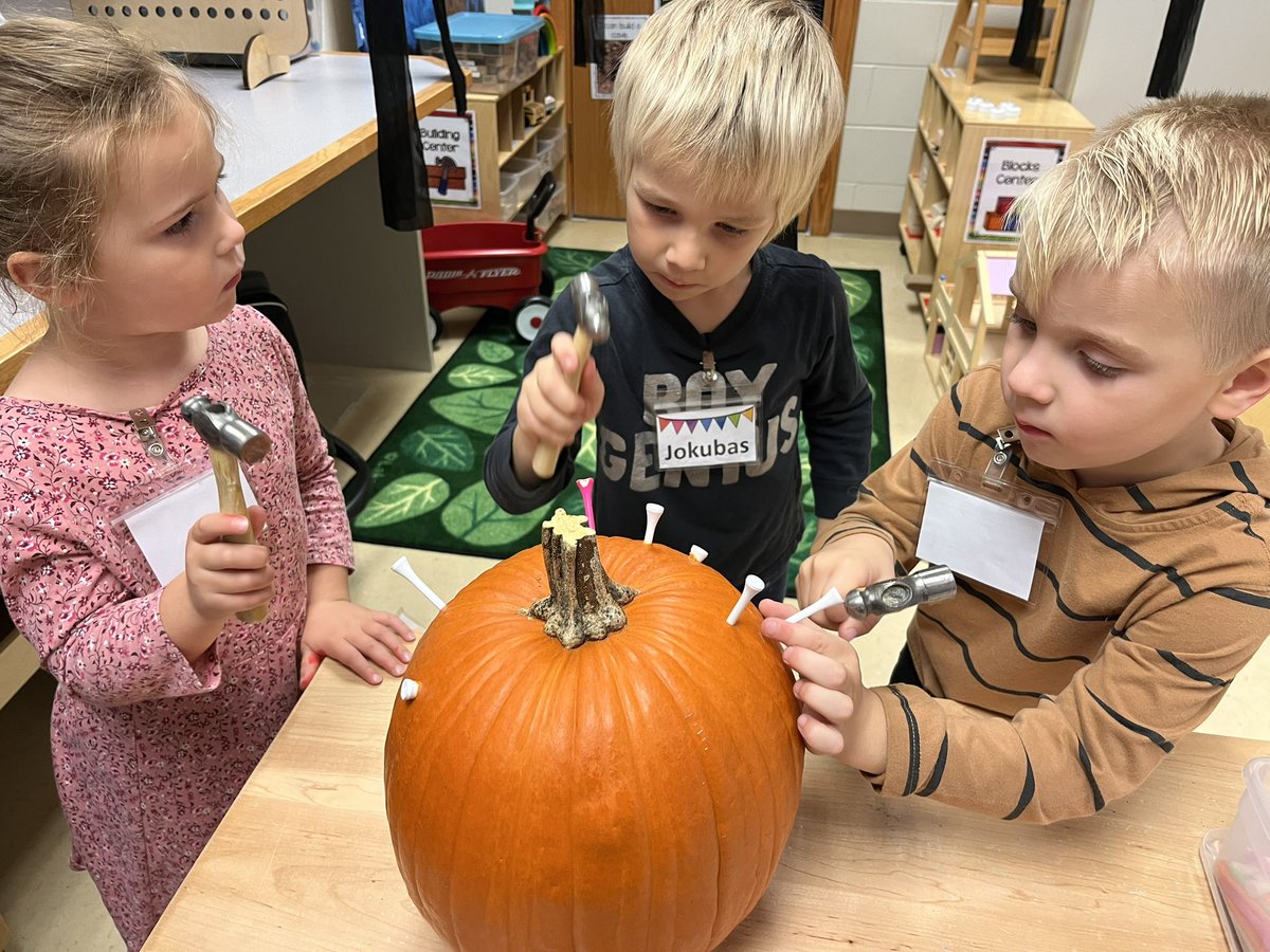 Sara Consdorf tweet media