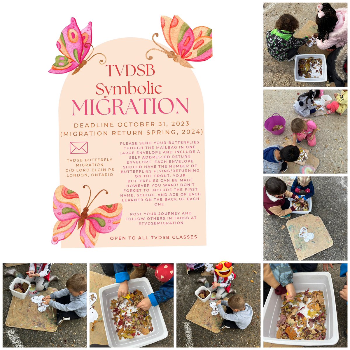 Mrs.McTavish tweet media