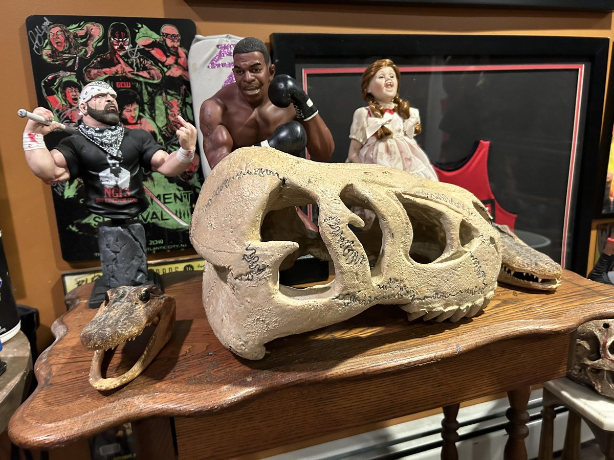 I’m honored to own the iconic Dino head / skull of @TerraCalaway. Not only for her body of impressive matches, promotion and being an advocate for mental health, women’s wrestling but also for being an all around positive force in the universe.