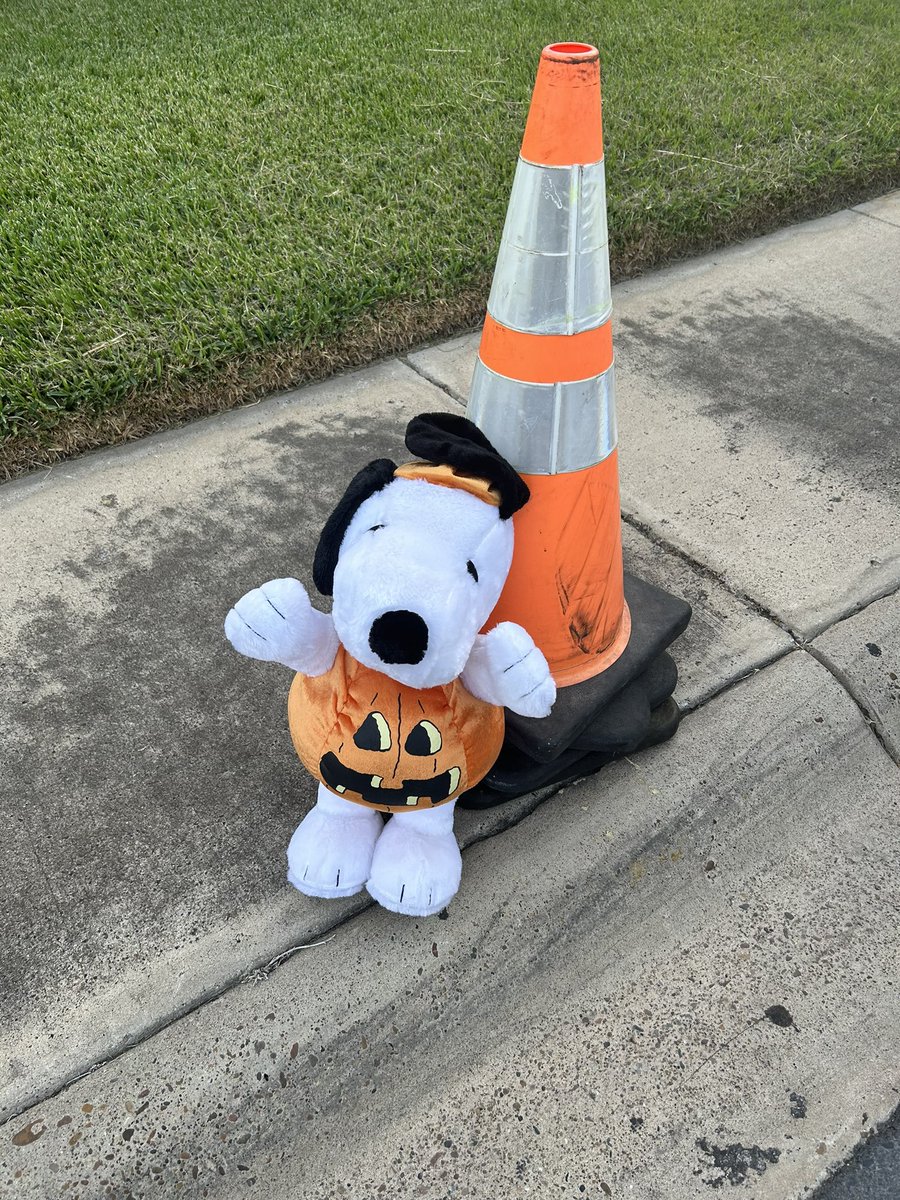 SnoopyWhereRU's tweet photo. I was watching the parade and I was spotted! It was such a great evening! @Anadgar16 @Pride_Mustangs https://t.co/sqp8H5qxez