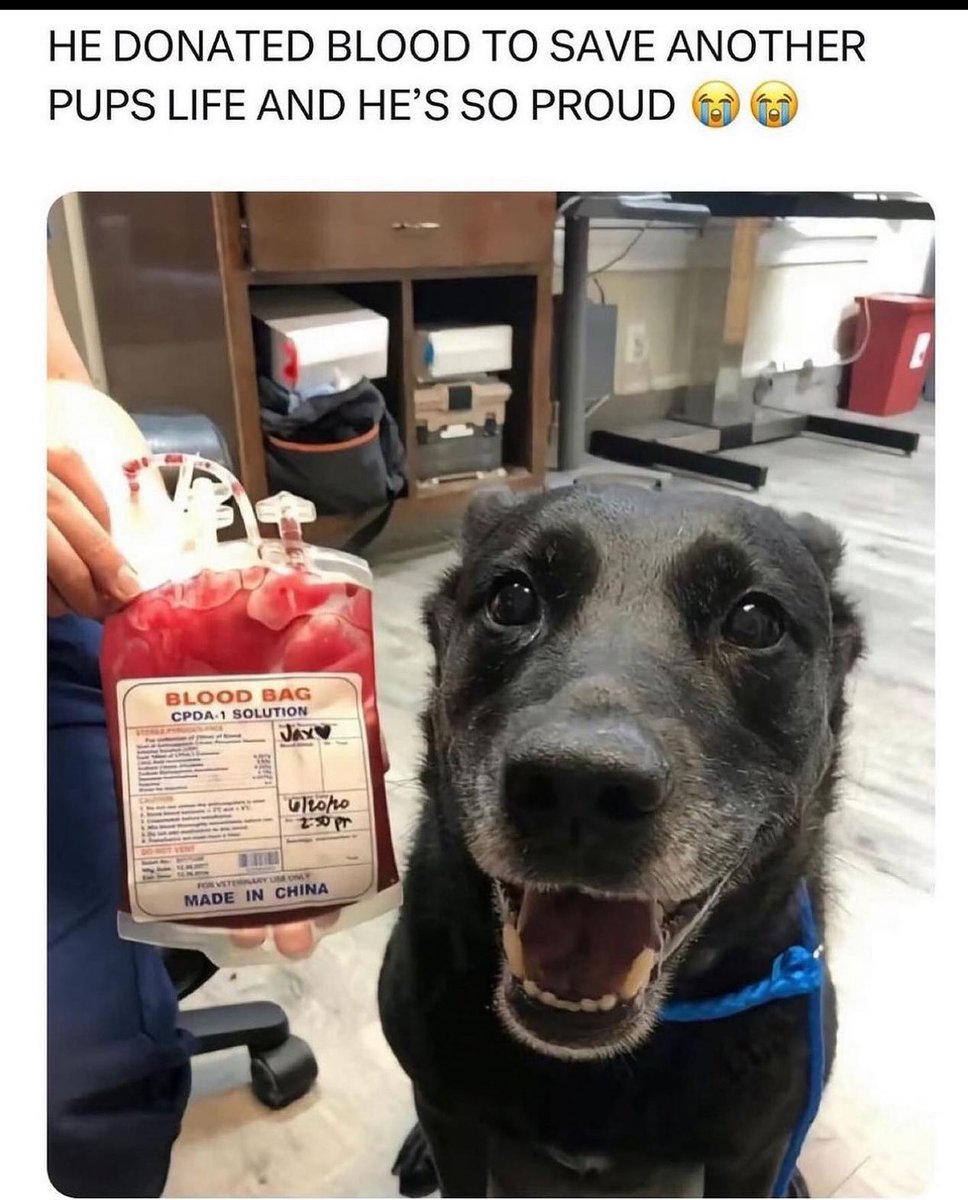 Dogs get it!!!
Register now to donate blood at the upcoming NHS blood drive!!!