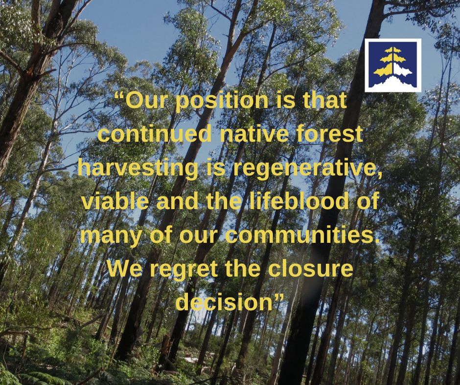 Timber Towns Victoria and its member councils have recently closely considered the implications of the cessation of harvesting of native forests in Victoria from the end of 2023.
To read more and download the paper in full, see timbertownsvictoria.com.au/timber-towns-v…