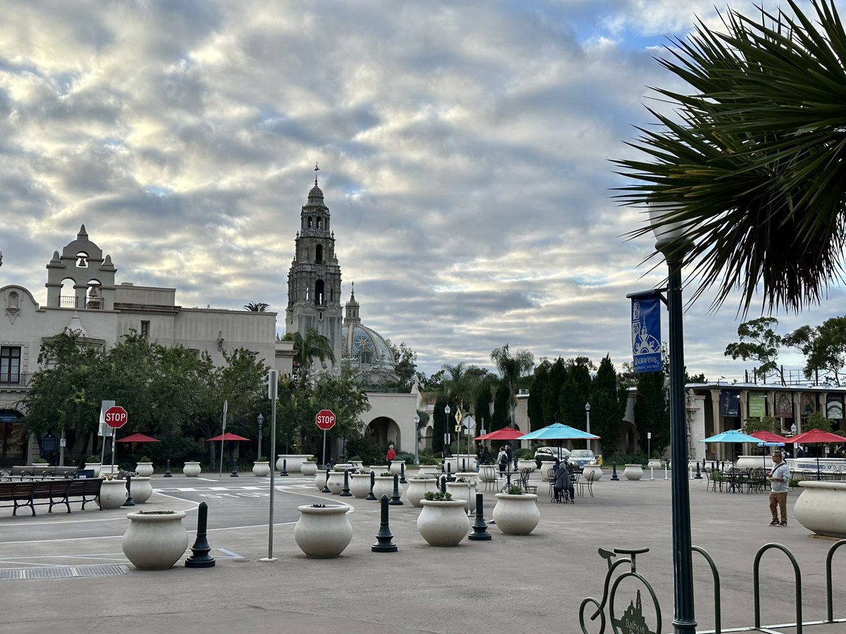 Anne Fennell tweet media