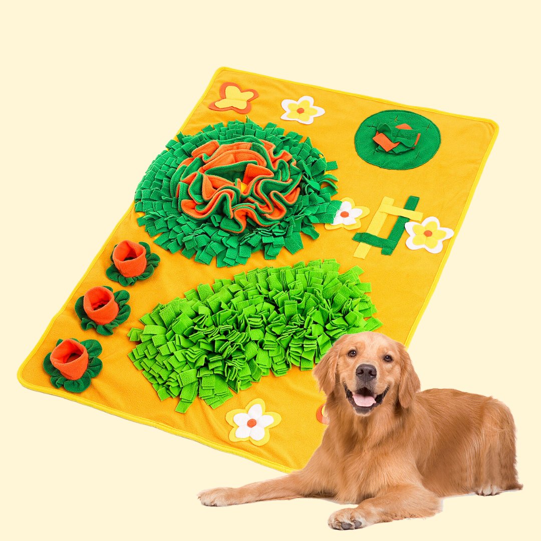 Miracolo_Pet's tweet image. Paws down, the snuffle mat is a guaranteed way to keep your pet entertained and engaged. 🐾🐾#snuffleplaytime #snufflemat