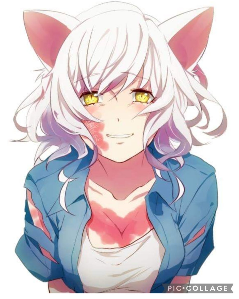 88_belli's tweet photo. https://t.co/rofdnVUhTz