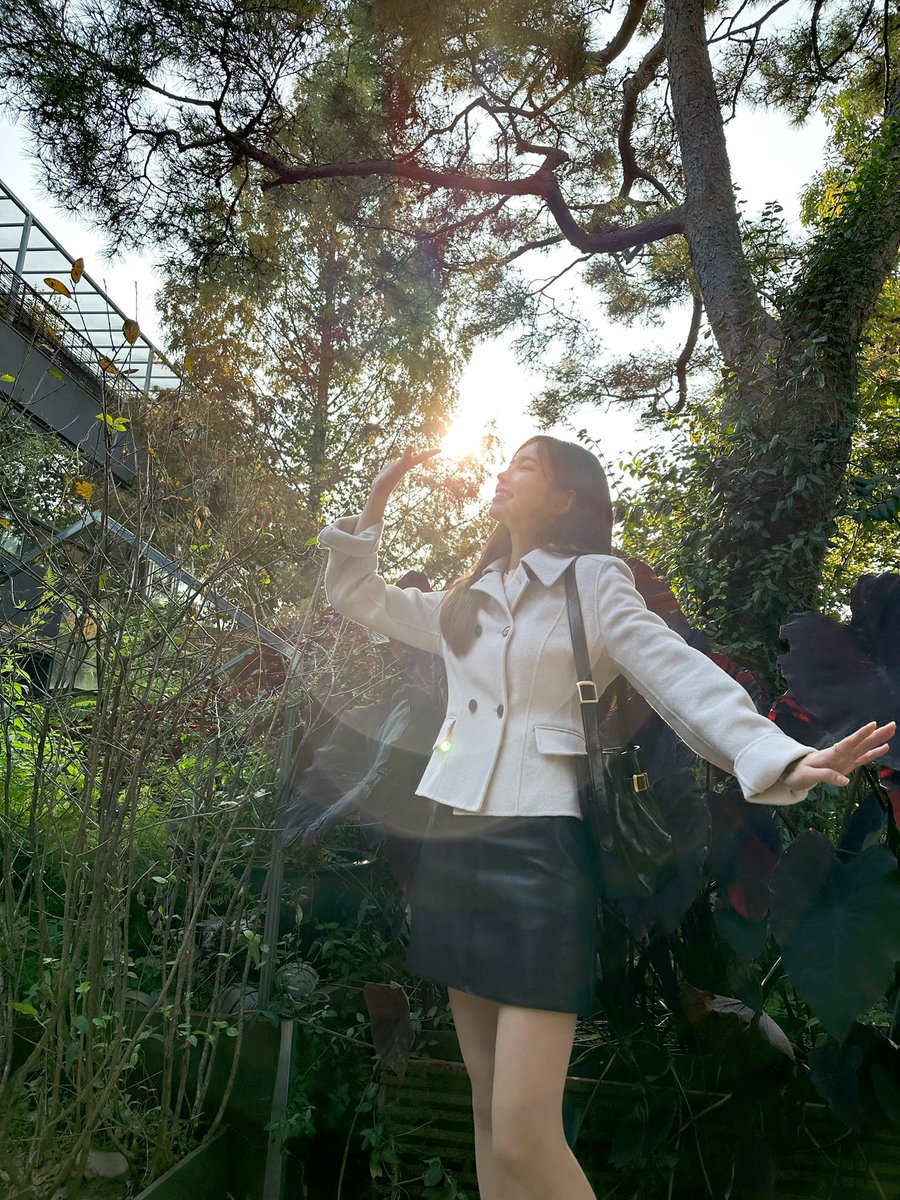 seyun_jp's tweet photo. いつのまにか、秋が来ました🍂 https://t.co/bq2p7Sfm9Q