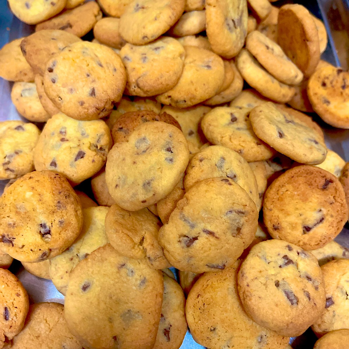 本日も大量のクッキー🍪と向かい合う１日👩‍🍳💭💭

クッキーと向かい合い、三年が経ちます🚶‍♀️。。

我が子のように可愛いクッキーを、毎日送り出す日々🕊️💫💫

沢山の人に喜んでもらえますように🙏🩷

#今日も１日HappyLifeを🍀💕💕