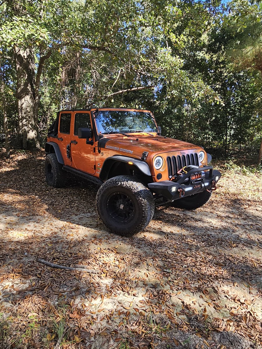 It's a beautiful day in GA.
#stingeroffroadambassador 
#stingeroffroad
#barricade 
#badassjeep
#jeepphotography
#jeepporn