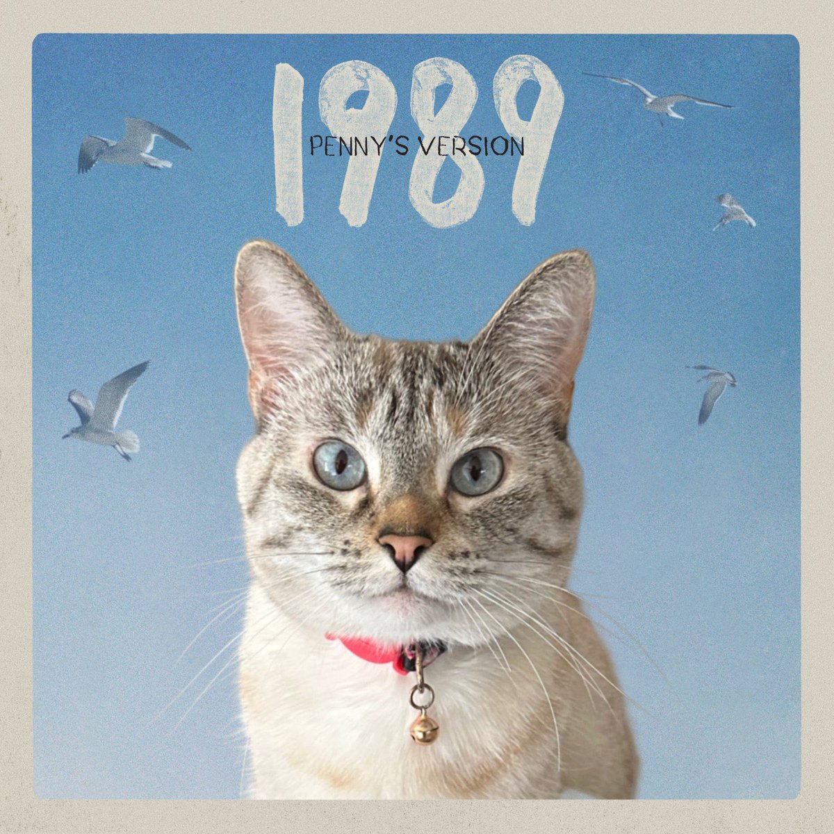 AlainaJewell's tweet photo. Prepared to introduce the masterpiece that is #1989TaylorsVersion to my cats. They don’t know what they’re in for https://t.co/CZJ2WbKLWA