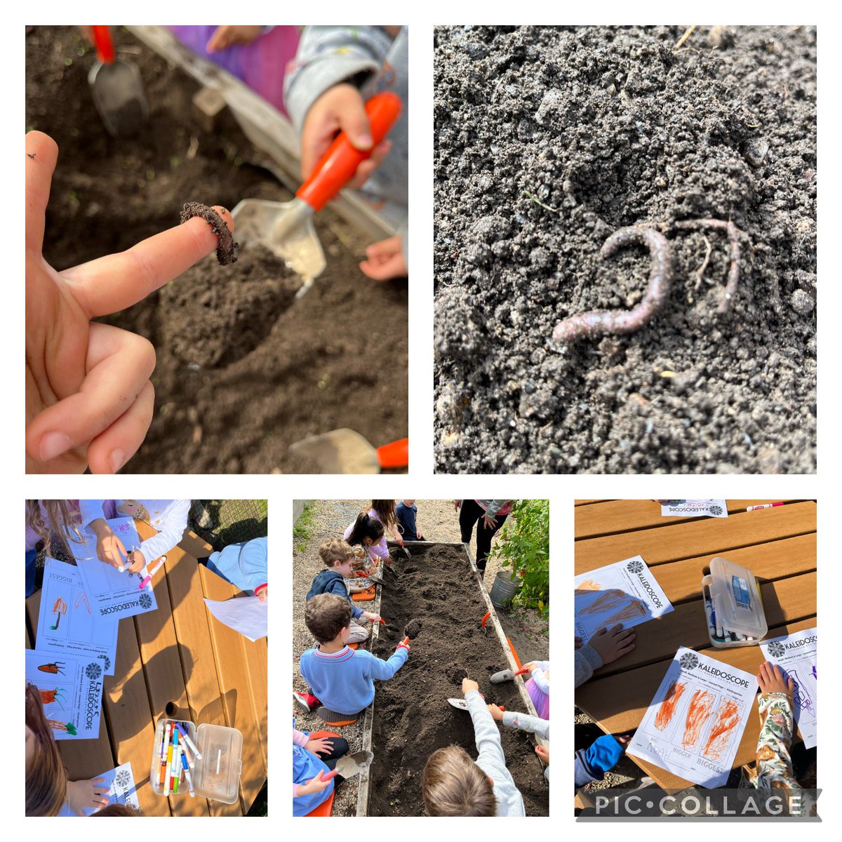 CStuetzFM's tweet photo. Another great day in the FM garden! @FoxMeadowSchool #scarsdalepride https://t.co/sqEdjJbp8E