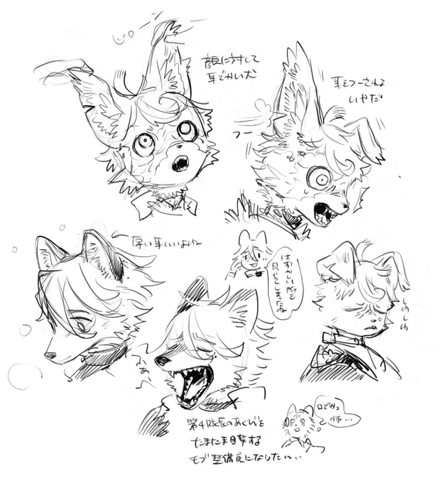 獣描きたかっただけでは