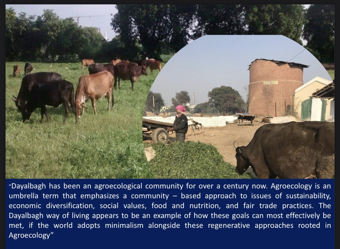 #Dayalbagh's agroecology sets the bar for India's agri-future, syncing with prosperity &amp; food security goals. A global model for UN SDGs-Zero Hunger, sustainability, climate action, and biodiversity. Inspiring India and the UN. 🇮🇳🌍 #DayalbaghWayOfLife #AgroecologySDGs #Dayalbagh