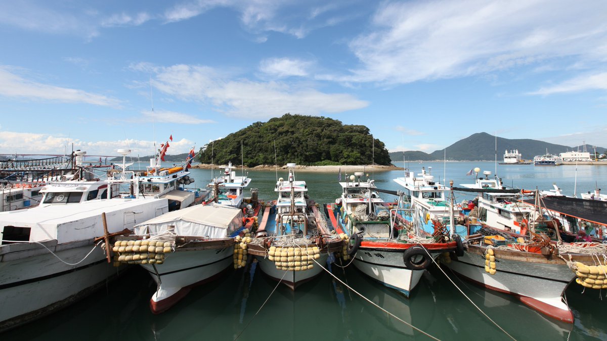 mofa_koreaz's tweet image. Welcome to #Wando! 🙌

#KOREAZ #MOFA #Snapshot #Korea #sea #beach #mountain #temple #nature #island #완도 #완도군 #청산도 #신흥리해변 #동천석실 #생선구이 #주도 #코리아즈 #외교부

Source: Wando County