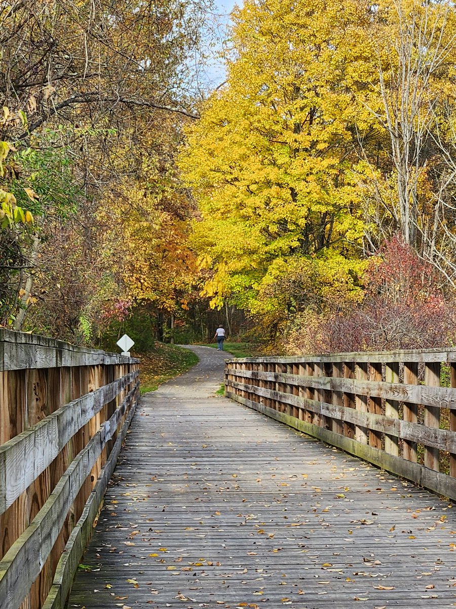 TribSportsLady's tweet photo. Fall colors on the towpath. #towpath #ohioeriecanal #ohio #newfranklin #fall #autumn #fallcolors #walking #Activelifestyle #healthylifestyle #healthcoachlife https://t.co/EKuUO1LZxF