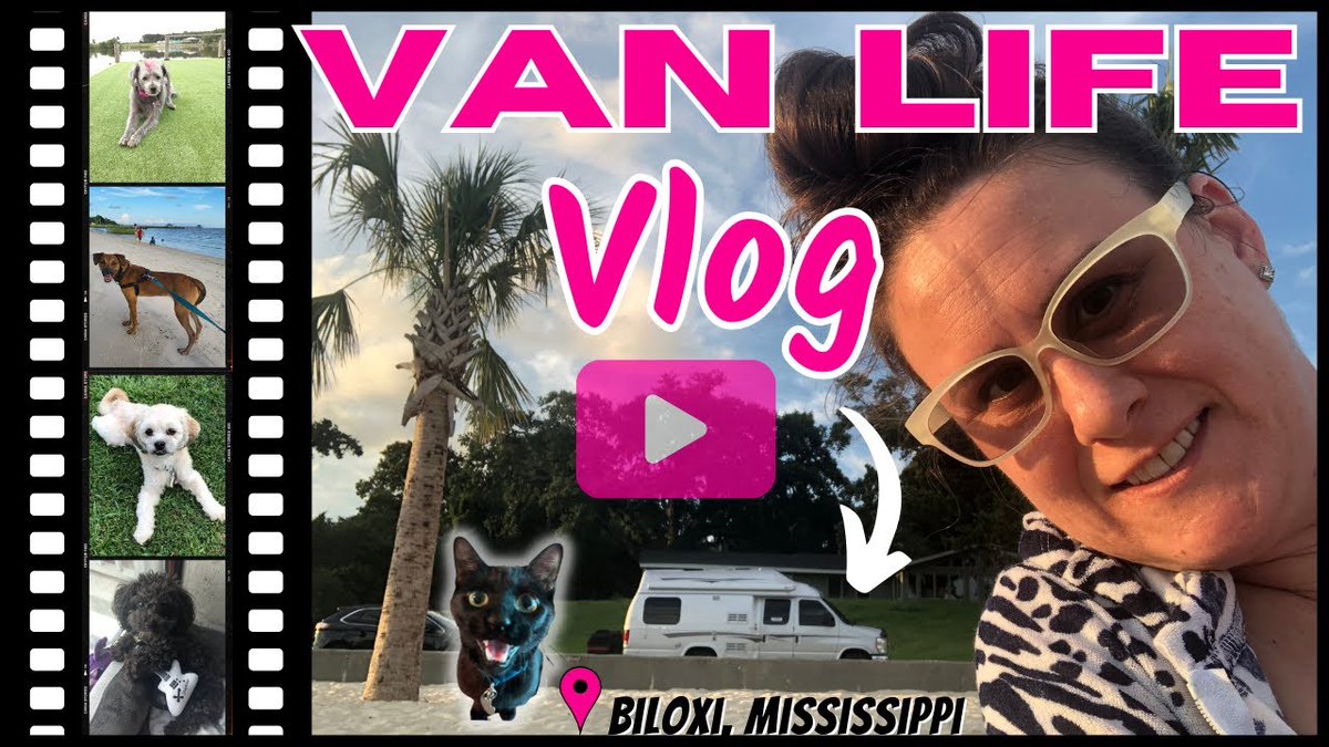 bloggingbrandi's tweet photo. 🚐 [DAY 2] ~ A Day In The Life #RVingWithDogs on a #RoadTrip with lots of #RescueDogs  🎬 WATCH this #VanLife Vlog 👉 https://t.co/T7eNoouCv9 https://t.co/hWVQ1TOf9t