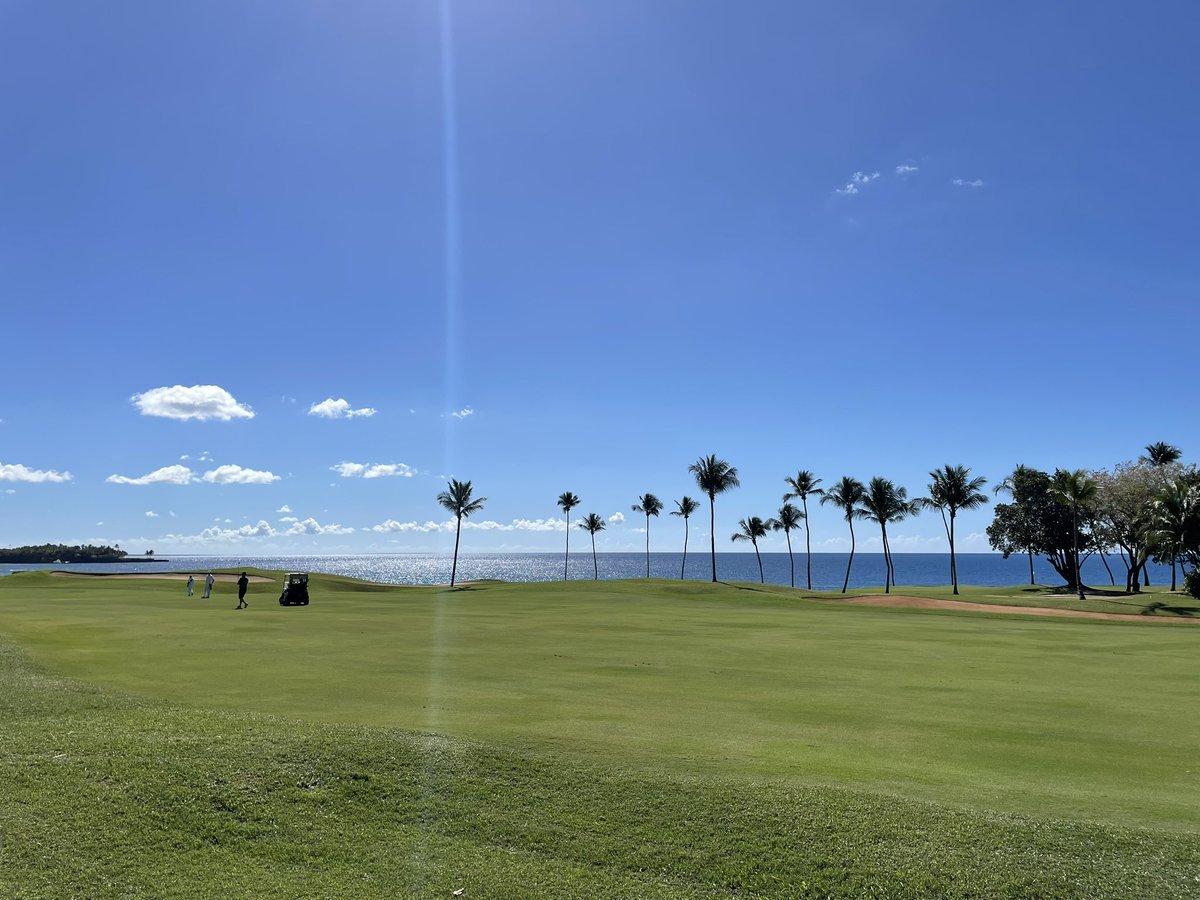 JHench22's tweet photo. @PGA Teeth of the Dog in La Romana, Dominican Republic is a very special course 🇩🇴🏝️ https://t.co/5AsSYBFc8j