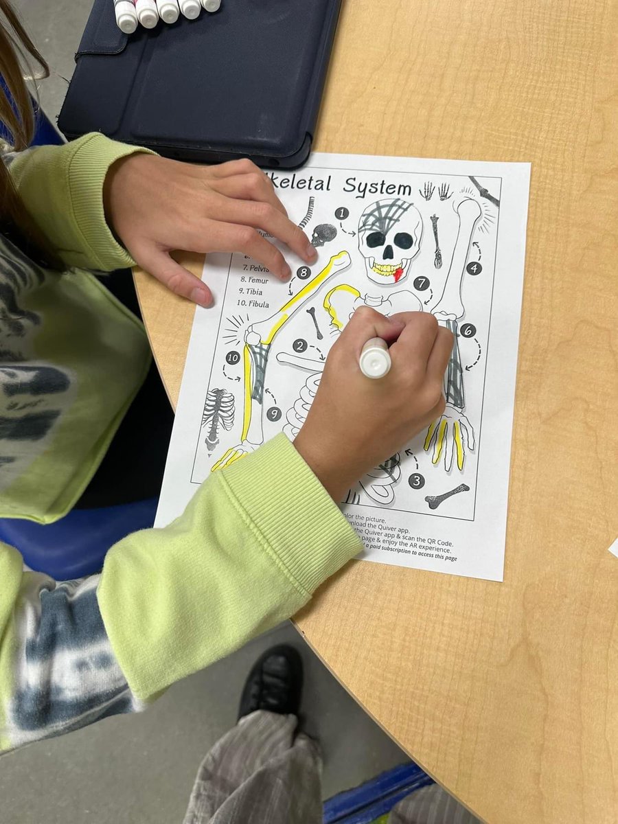 ChrystalBurkes's tweet photo. I also teach #ckla enrichment classes to grades 1-5 each week. Our 3rd and 1st graders are using the @quivervision app to extend their knowledge on the human body with augmented reality games and quizzes! #teacherlibrarian #elementarylibraries #edtechteacher #edtechtools https://t.co/Sld658qBOu