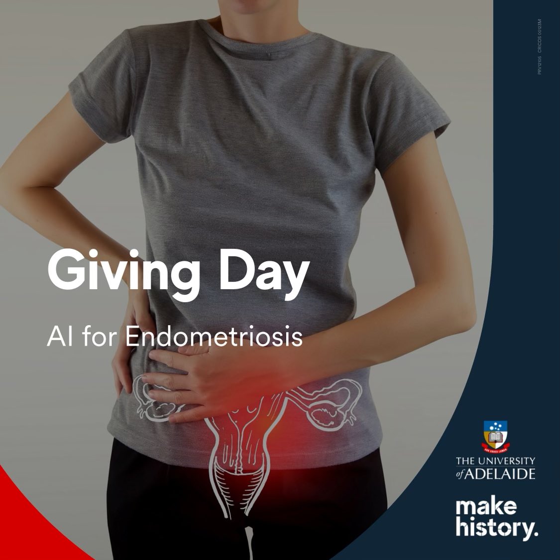 Prof (mary) Louise Hull (@mlouisehull) on Twitter photo We are honoured to be ambassadors for the <a href="/UniofAdelaide/">Uni of Adelaide</a> initiative called ‘giving day’. IMAGENDO plans to improve diagnostics for endometriosis using AI with ultrasound and MRI data. Click link to learn more and contribute givingday.adelaide.edu.au/campaigns/ai-f… #UoAGivingDay #UAMakeHistory We are honoured to be ambassadors for the <a href="/UniofAdelaide/">Uni of Adelaide</a> initiative called ‘giving day’. IMAGENDO plans to improve diagnostics for endometriosis using AI with ultrasound and MRI data. Click link to learn more and contribute givingday.adelaide.edu.au/campaigns/ai-f… #UoAGivingDay #UAMakeHistory