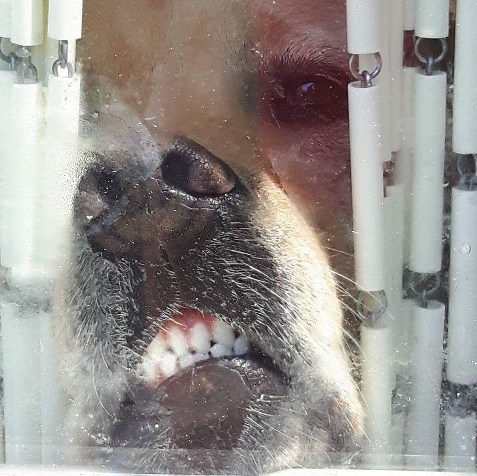 ImkeSingingintherain tweet media